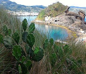 acores-Coups-de-coeur