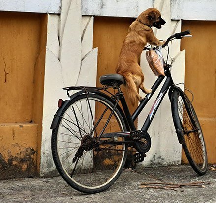 vietnam-chien