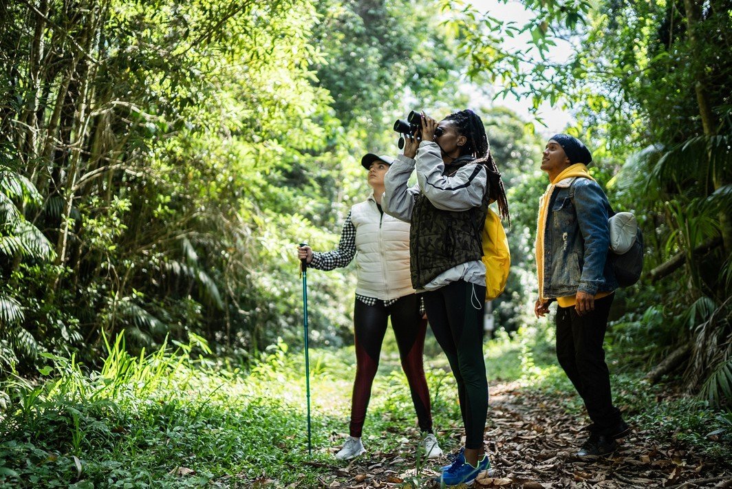 Friends using binoculars in a forest